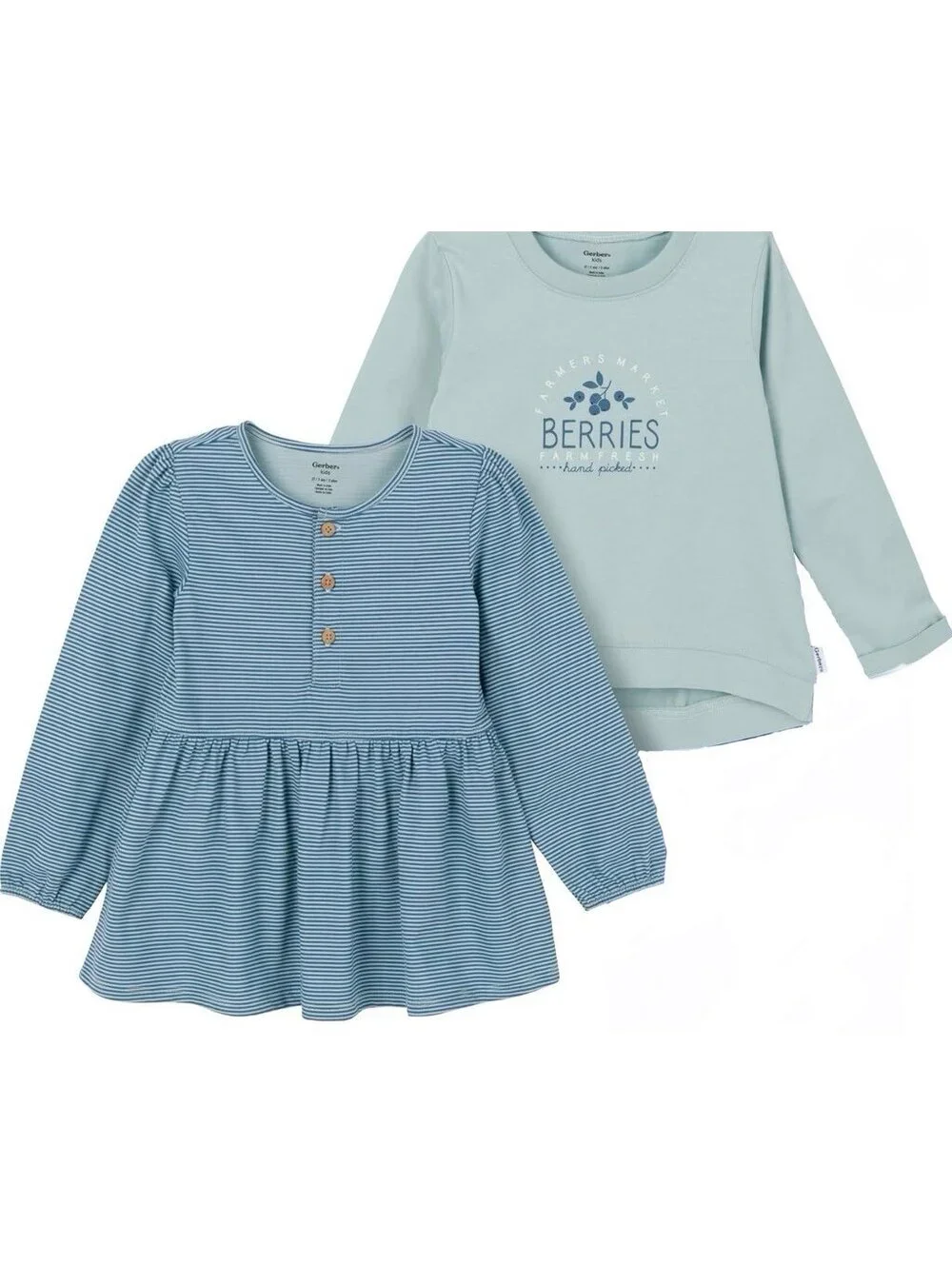 Gerber Girls Long Sleeve Shirt Set (3T)